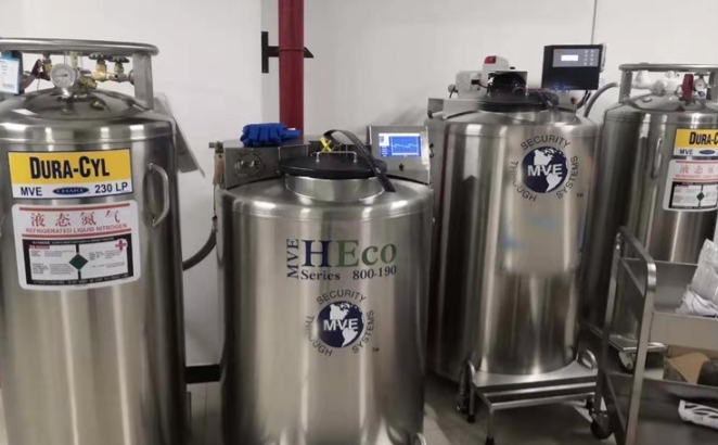 查特液氮罐自增压液氮罐