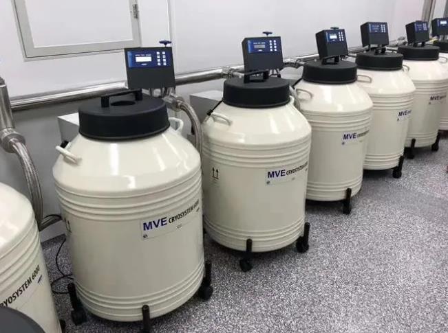 查特液氮罐 查特液氮罐