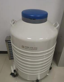 金凤液氮罐 金凤液氮罐